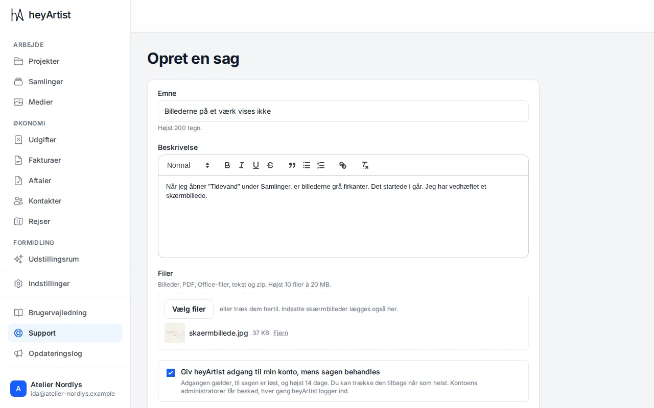 A new case: subject, description, an attached screenshot and access to the account