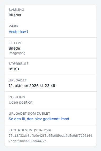 The details of a file uploaded as a duplicate