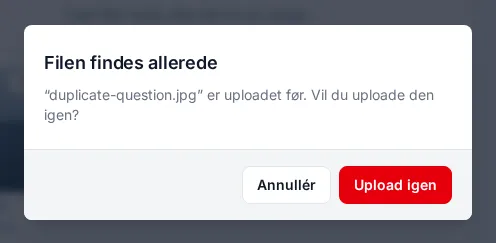 The question This file already exists