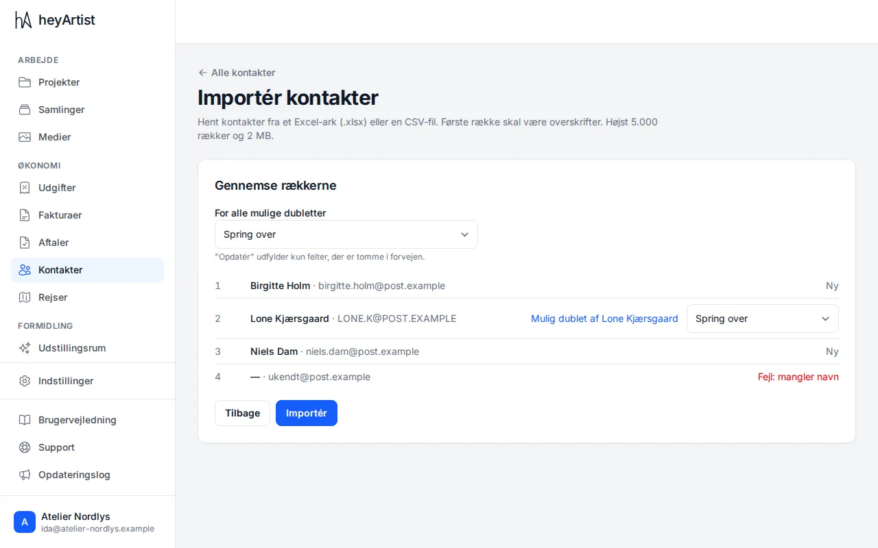 Review the rows: new, possible duplicate and error