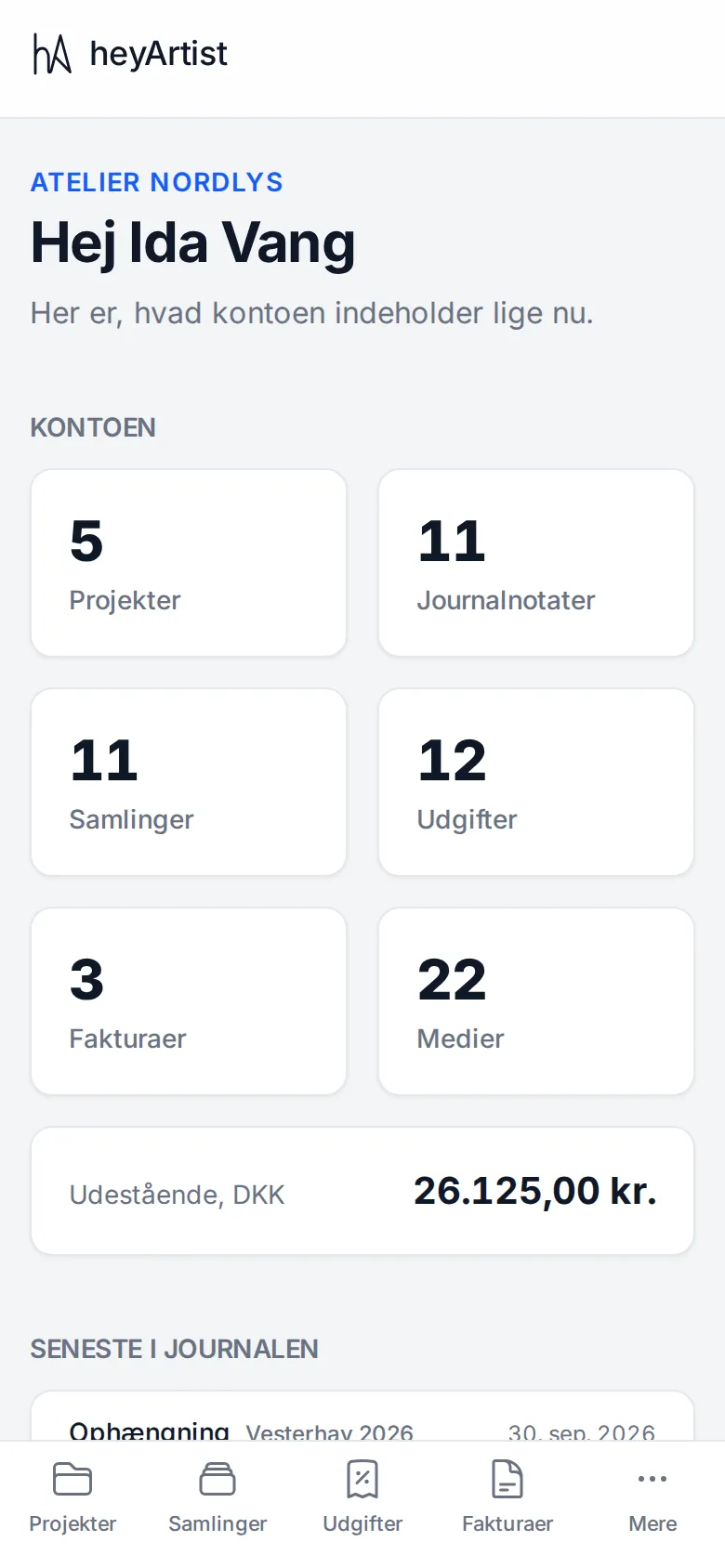 Forsiden på en telefon med menuen i bunden